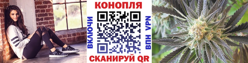 Шишки марихуана семена  Белинский 